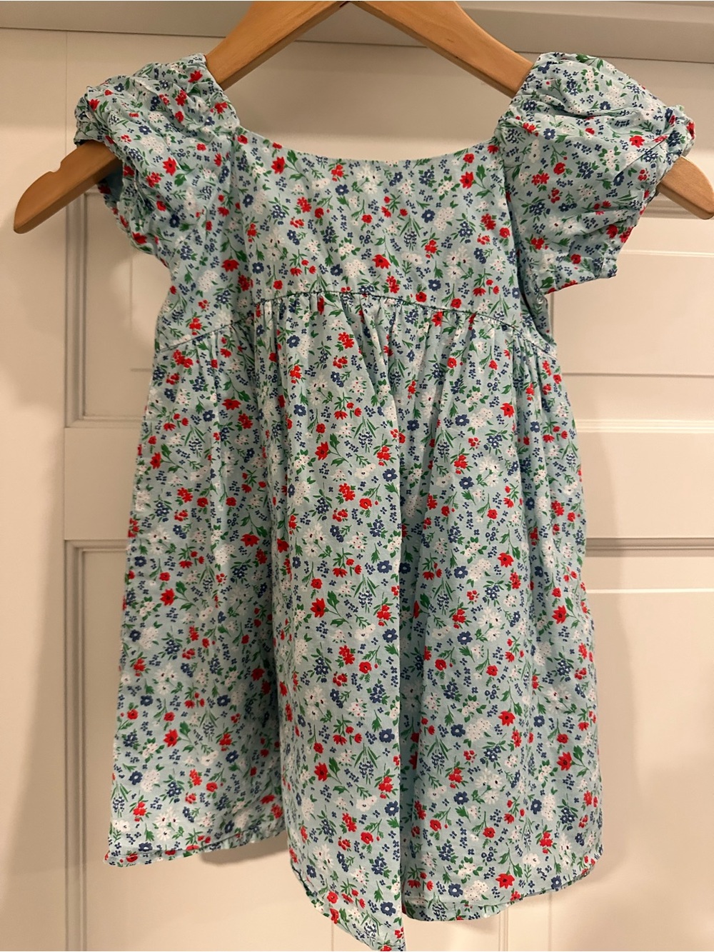 Janie and Jack Light Blue Floral Puff-Sleeve Dress with Red & Blue Blooms